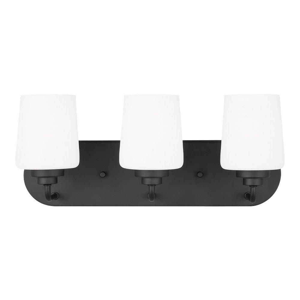 Visual Comfort & Co. Generation Lighting Midnight Black 100W Medium E-26 Vanity Fixture in Midnight Black 