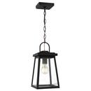 75W 1-Light Medium E-26 Outdoor Pendant in Black