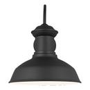 Visual Comfort & Co. Generation Lighting Black 100W 1-Light 15-22/25 in. Outdoor Wall Sconce 