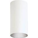 Progress Lighting White 12 x 6 in. 150W 1-Light Outdoor Wall Lantern 