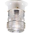 60W 1-Light Incandescent Outdoor Close to Ceiling Lantern in White