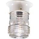 Progress Lighting White 60W 1-Light Incandescent Outdoor Close to Ceiling Lantern 