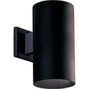 250 W 1-Light Qpar-38 Outdoor Wall Sconce in Black