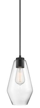 MINI PENDANT - 1 LIGHT MINI PENDANT 