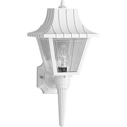 60W 1-Light Medium Base Wall Lantern in White