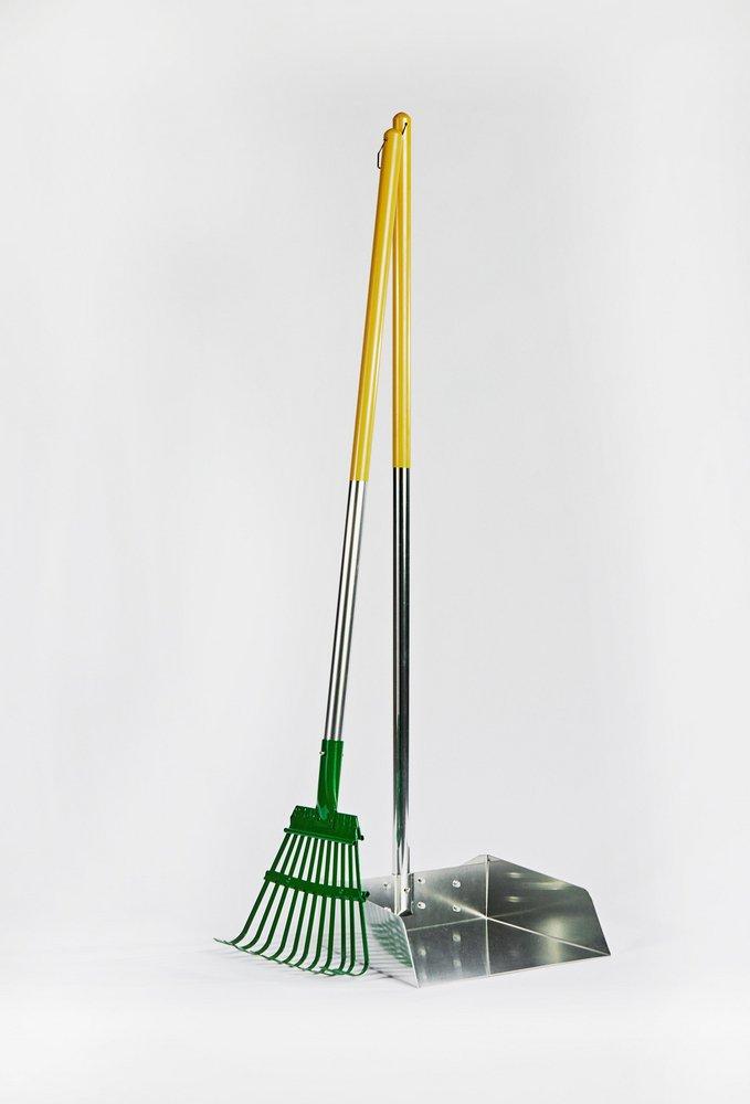 DOG POOP RAKE AND PAN 