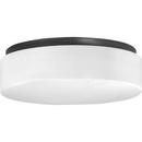 3-1/16 in. 13W 2-Light Compact Fluorescent Ceiling Light with Acrylic Glass in Black