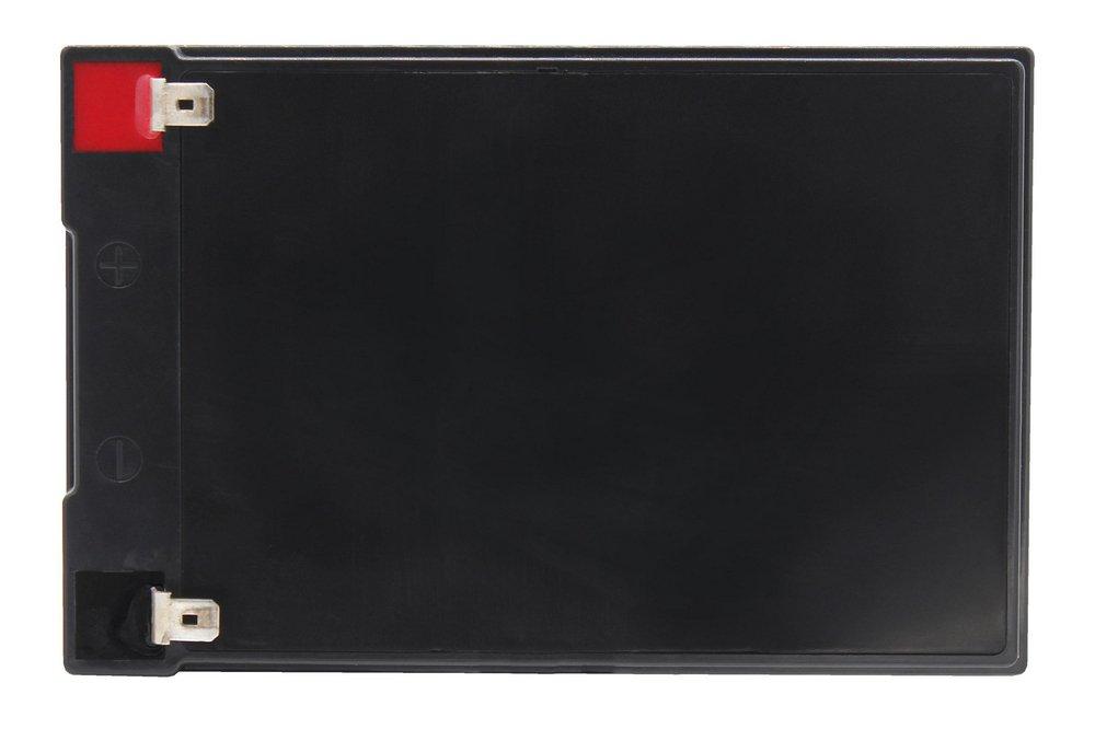 12V 12AH F2 AGM BATTERY 