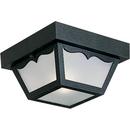 1 Light 60W Outdoor Non-Metallic Ceiling Light with White Acrylic Diffuser Black
