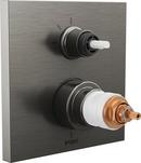Thermostatic Valve Trim in Luxe Steel (Handles Sold Separately)