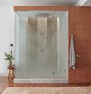 Brizo Luxe Nickel Single Function Showerhead 