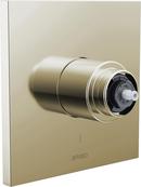 Pressure Balancing Valve Trim in Polished Nickel (Handles Sold Separately)