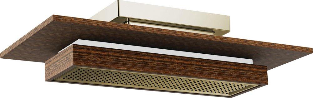 Brizo Polished Nickel Wood Single Function Canopy Spray Showerhead 