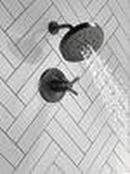 Delta Faucet Matte Black Two Handle Multi Function Shower Faucet (Trim Only) 