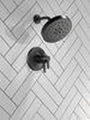 Delta Faucet Matte Black Two Handle Multi Function Shower Faucet (Trim Only) 