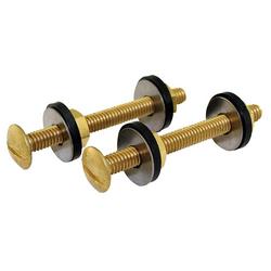 5/16 in x 3 in Brass Closet Bolt