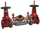 Watts Stainless Steel Stainless Steel Flanged Backflow Preventer 