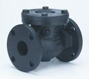 2-1/2 in. Cast Iron Flanged Swing Check Valve