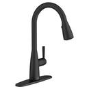 American Standard Matte Black Single Handle Pull Down Kitchen Faucet 