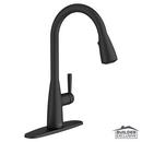 HILLSDALE SINGLE-HANDLE PULL-DOWN DUAL SPRAY KITCHEN FAUCET 
