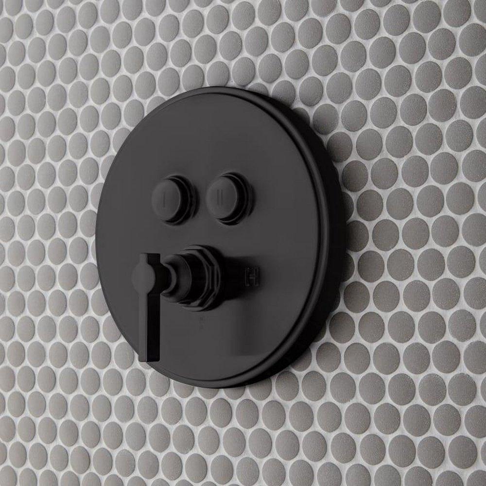 Signature Hardware Matte Black Bathtub & Shower Faucet 