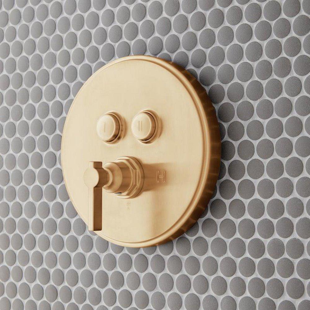 Signature Hardware Brushed Gold Bathtub & Shower Faucet 