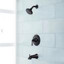 Signature Hardware Matte Black Single Handle Multi Function Shower System 