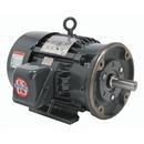 30 HP 1775 RPM H30P2DC 208-230/460 V 60 & 50 HZ 286TC 