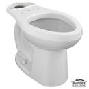 Elongated Floor Mount Bowl Toilet in White