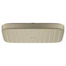 GROHE Brushed Nickel Infinity Finish Single Function Showerhead 