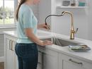 Delta Faucet Lumicoat Champagne Bronze Single Handle Pull Down Kitchen Faucet 