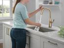 Delta Faucet Lumicoat Champagne Bronze Single Handle Pull Down Kitchen Faucet 