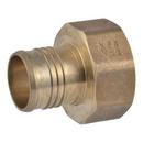 2 X 2 in. FNPT Lead Free (10-Pack) 