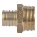 1-1/4 X 1-1/4 in. MNPT Lead Free (10-Pack) 