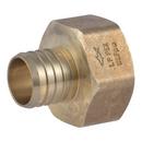 1-1/4 X 1-1/4 in. FNPT Lead Free (10-Pack) 
