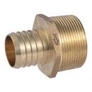 1-1/2" X 1-1/2" MNPT LEAD FREE (10-PACK) 