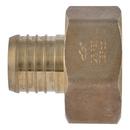 1-1/2 X 1-1/2 in. FNPT Lead Free (10-Pack) 