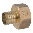 1-1/2 X 1-1/2 in. FNPT Lead Free (10-Pack) 