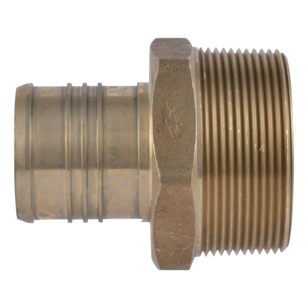 2 X 2 in. MNPT Lead Free (10-Pack) 