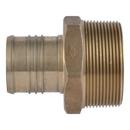 2 X 2 in. MNPT Lead Free (10-Pack) 
