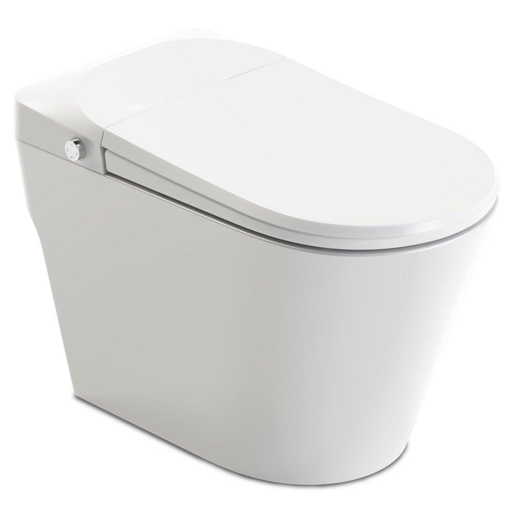 Elongated One Piece Toilet in White 