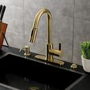 Kingston Brass Brushed Brass Single Handle Pull Down Kitchen Faucet 