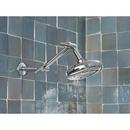 CHROME SHOWER ARM 
