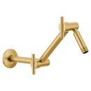 Adjustable Shower Arm in Brushed Gold