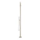 Freestanding Outdoor Shower Panel with Curved Neck and Hand Shower 