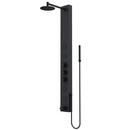 Three Handle Single Function Shower System in Matte Black