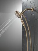 Multi Function Hand Shower in Champagne Bronze 