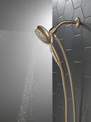 Multi Function Hand Shower in Champagne Bronze 