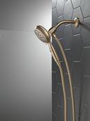 Multi Function Hand Shower in Champagne Bronze 
