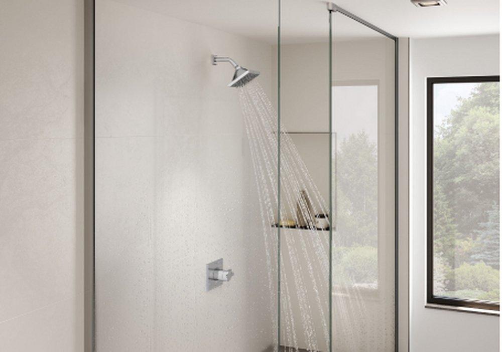 Delta Faucet Lumicoat Chrome Two Handle Multi Function Shower Faucet (Trim Only) 